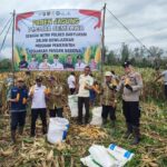 Sinergi Gugus Tugas Ketapang Polres Banyuasin dan PT Citra Sembawa Wujudkan Swasembada Jagung